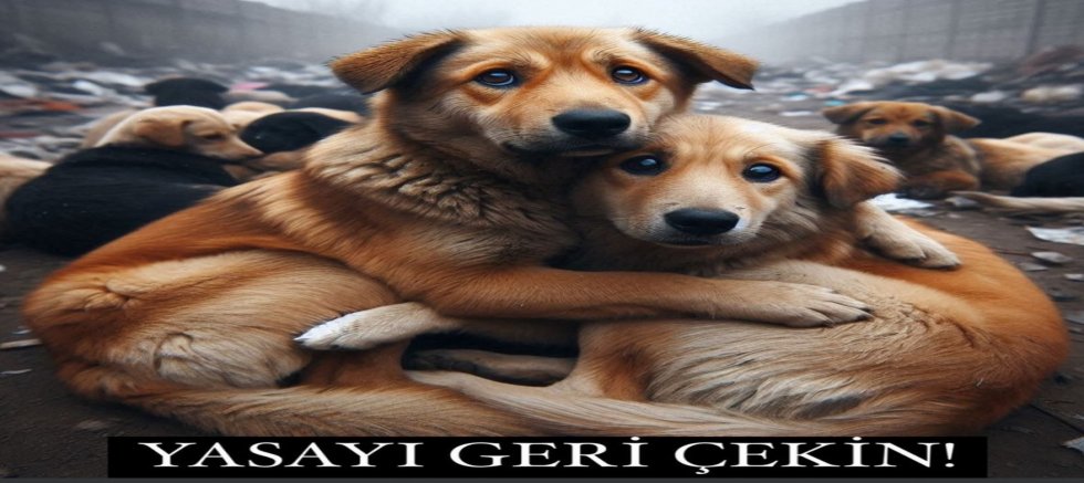 Yasayı Geri Çek