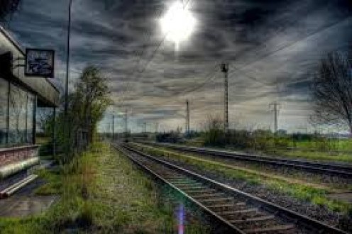 Marmarayın sivri sinekleri tehlike saçıyor