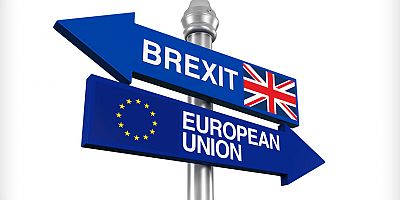 Brexit Oylaması 14-15 Ocak’ta