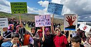 Çekerek Irmağı'nın Başı HES ile Dertte