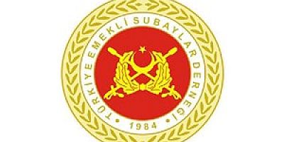 Türkiye Emekli Subaylar Derneği'ne (TESUD) Zorunlu Denetim